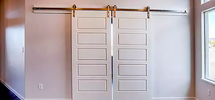 Glass Barn Door with Installation Hardware Kit Lafayette