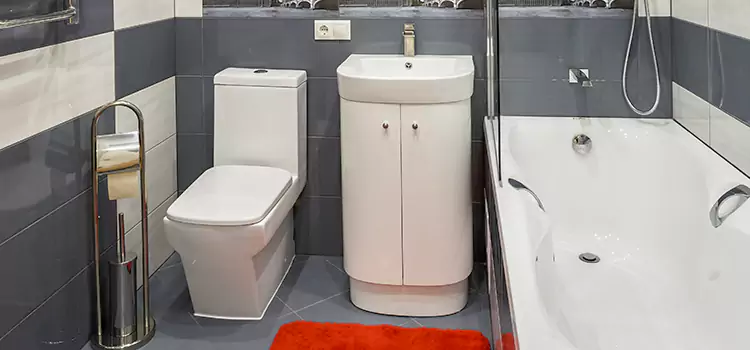 Hansgrohe Shaving Mirror Lafayette